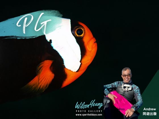 2025-07-23 波塞羅拉 Aura Dive Resort 6日5夜 - Andrew Sir 同遊出發